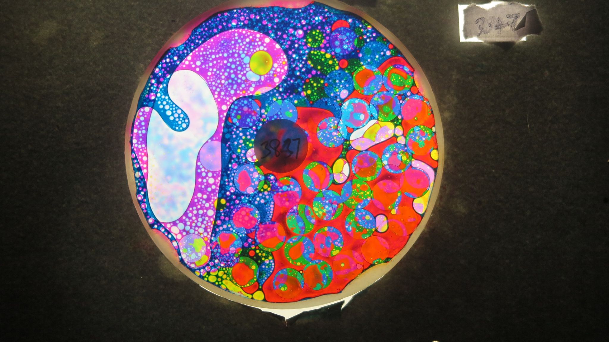 BV3847 bubble vision oil wheel